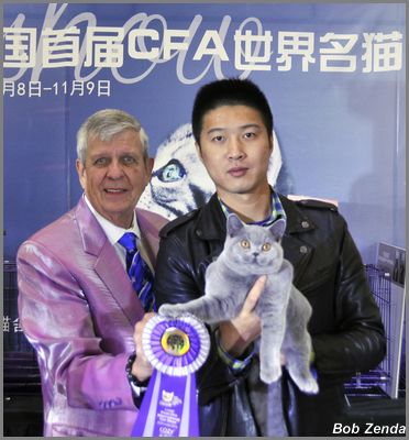 Kitties Land Main Event